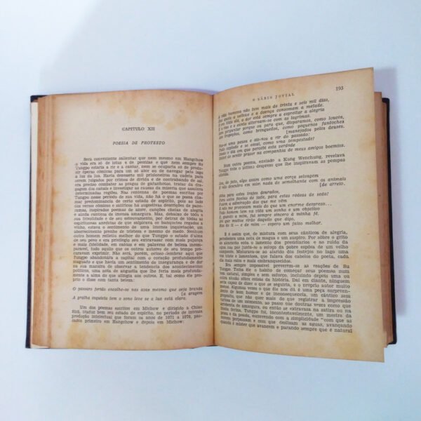 O sábio jovial - Imagem 3