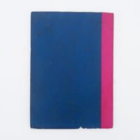 Toda palavra é uma semente - Imagem 2