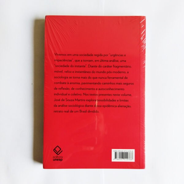 Sociologia do desconhecimento: ensaios sobre a incerteza do instante - Imagem 2