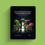 Environmental Economic Program under the Brazilian Forest Code: The Need for Ecological Equivalence